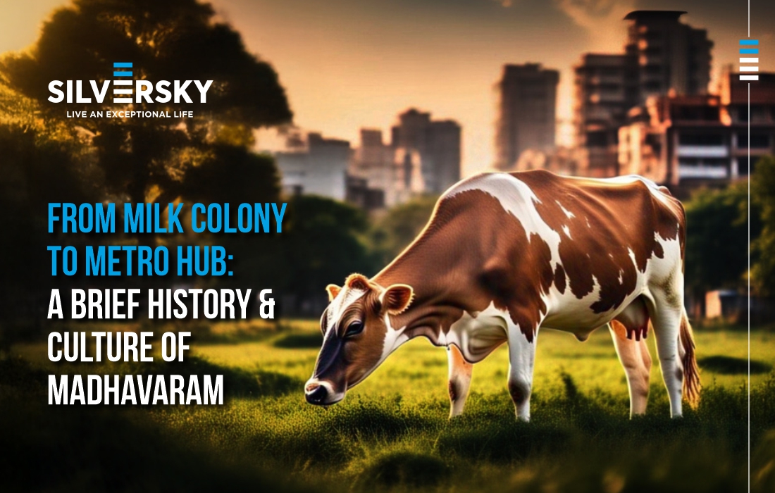 From Milk Colony to Metro Hub: A Brief History & Culture of Madhavaram
